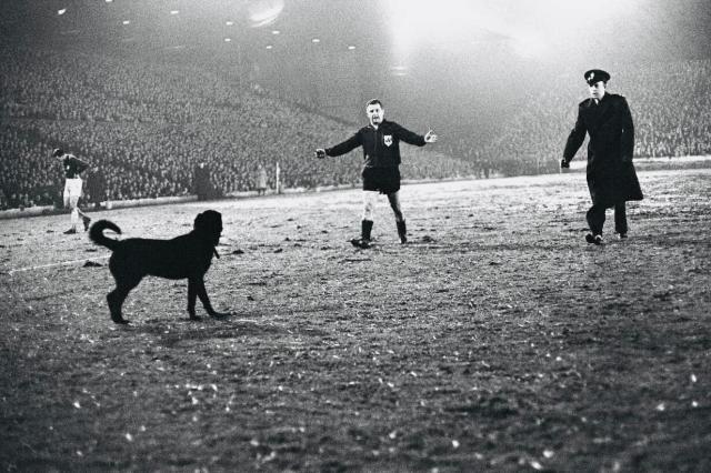 1763134616124048361.jpg 1763134616124048361.jpg